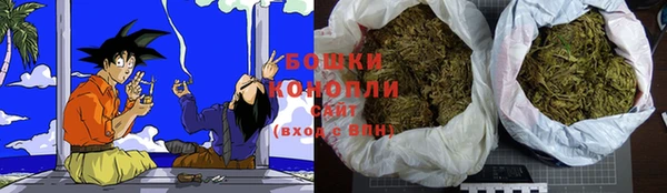 бошки Гусиноозёрск