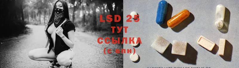 LSD-25 экстази ecstasy  купить наркоту  Александров 